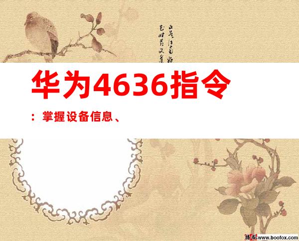 华为4636指令：掌握设备信息、调控性能的神秘密钥