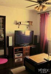 日系家庭影院性价比